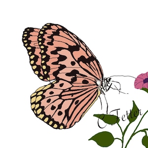 Peach Butterfly on Flower/ Downloadable Art/ Printable Art/Home Decor