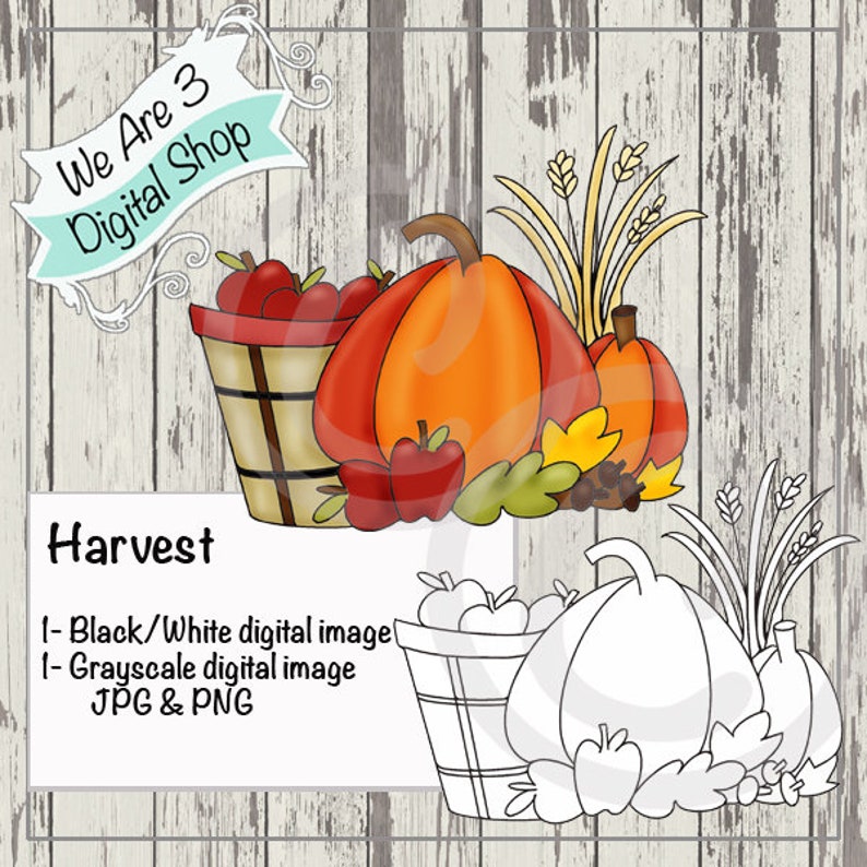 We Are 3 Digital Shop  Harvest Pumpkin Halloween Fall image 0