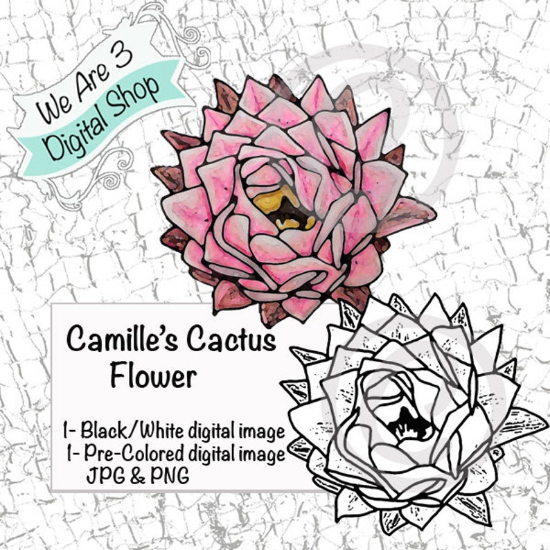 We Are 3 Digital Shop  Camille's Cactus Flower image 0