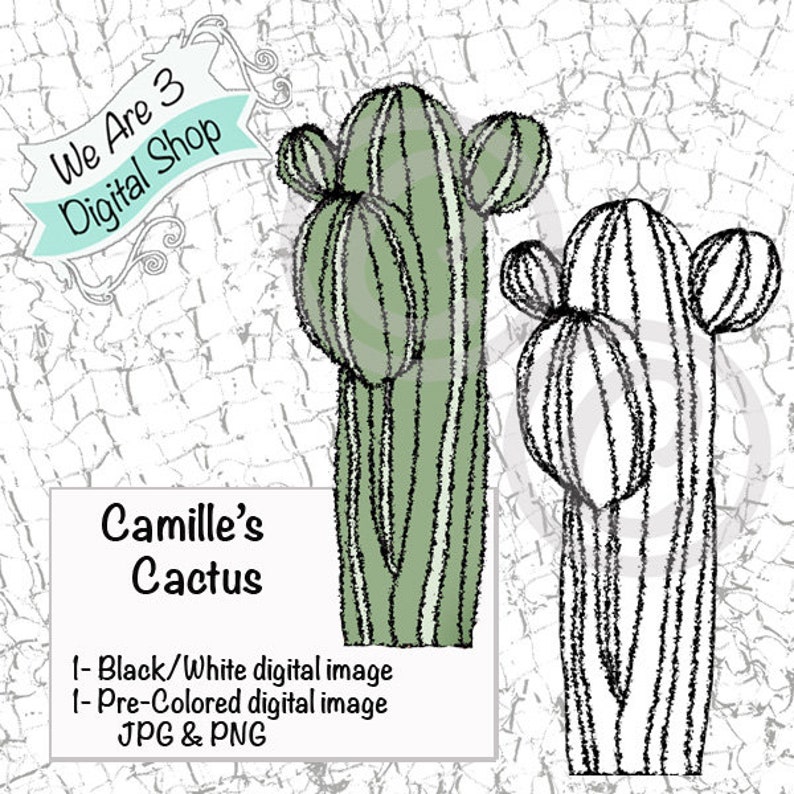 We Are 3 Digital Shop  Camille's Cactus Flower image 0