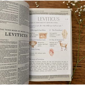 May include: An open book with the title "LEVITICUS" on the right page, with text and illustrations. The left page contains text. The book is on a wooden surface, with white flowers in the background.
