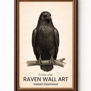 Rabe Wand Kunst zum ausdrucken, Gothic Rabe Druck, Dark Academia Dekor, Vintage Vogel Illustration, Antikes Naturhistorisches Poster, Corvus Corax
