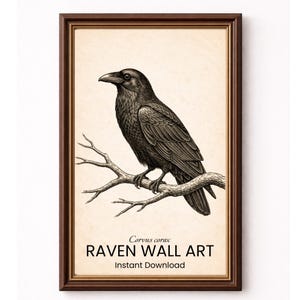 Rabe Rabe Wand Kunst zum ausdrucken, Vintage Rabe Illustration, Gothic Vogel Druck, Dark Academia Dekor, Antikes Naturhistorisches Poster, Corvus Corax