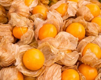 100 Cape Gooseberry Goldenberry Seeds Physalis peruviana