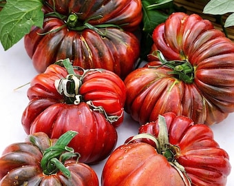 Heirloom Black From Tula Tomato Seeds 120 Rare Tomato