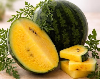 20 Golden Honey Watermelon Seeds Yellow Heirloom