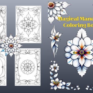Puede incluir: Imagen de un libro para colorear titulado "Magical Mandalas" con intrincados dise&ntilde;os florales. La imagen presenta cuatro p&aacute;ginas rectangulares con patrones de mandala detallados y elementos florales decorativos. Tambi&eacute;n hay ilustraciones florales y dise&ntilde;os de esquina adicionales.