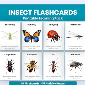Può includere: Un pacchetto di apprendimento stampabile di flashcard sugli insetti con il testo INSECT FLASHCARDS e 40 Flashcards 15 Activity Pages. Le carte mostrano illustrazioni di crisopa, farfalla, coccinella, damigella, cervo volante, ape, formica e mosca domestica.