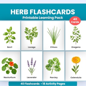 May include: A printable learning pack of herb flashcards featuring 40 cards and 18 activity pages. The cards display illustrations of basil, lovage, chives, oregano, nasturtium, lavender, parsley, and calendula with their names printed below.