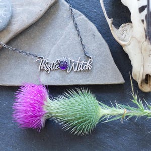 May include: A silver necklace with a purple gemstone and the words "Thistle Witch" hanging on a gray surface with a thistle flower.