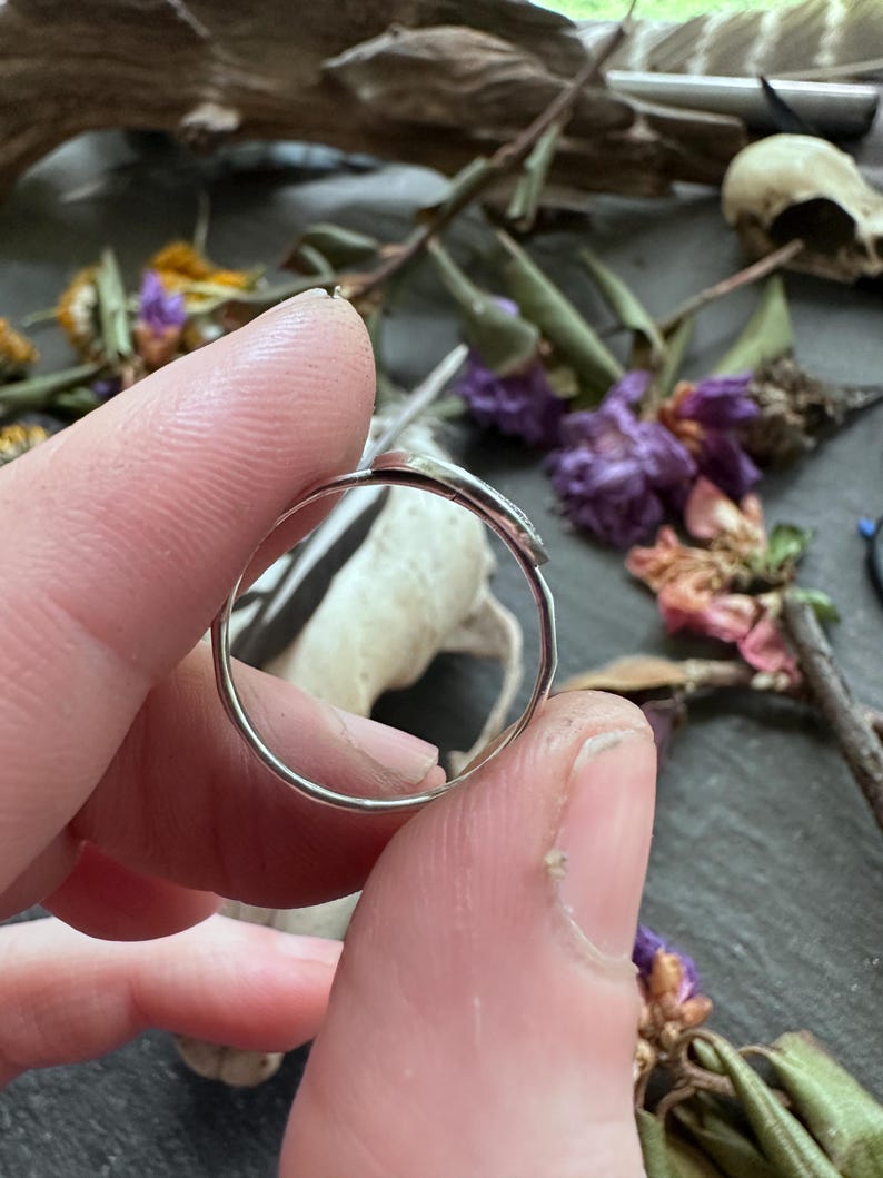 May include: A silver ring with a small, oval-shaped stone. The ring is held between fingers, with a blurred background of dried flowers and other natural elements.