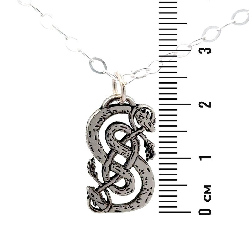 May include: Silver necklace with a pendant featuring a detailed intertwined snake design. The pendant is approximately 2 cm in length.