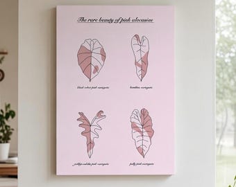 Alocasia pink variegata  | Botanische Pflanzen Illustration |  Leinwand |Poster | Minimalistische Wandkunst | Geschenk für Pflanzenliebhaber
