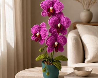 Moth Orchid Crochet Pattern | Elegant DIY Floral Home Decor | Realistic Potted Plant | No-Sew Amigurumi | Instant Download