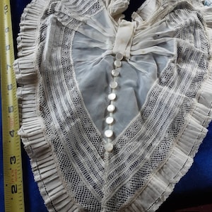 Dress Inset, Jabot, Dickey, Collar, But a Rose by Any Other name.. . . .