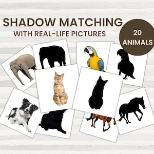 Può includere: Un gioco di carte di abbinamento di ombre con immagini reali di animali e le loro sagome. Include un elefante, un gatto, un cane e un pappagallo. Il testo "SHADOW MATCHING" è visualizzato in alto, con "20 ANIMALI" in un cerchio marrone.