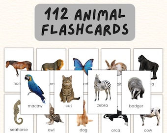 100+ Animal Flashcards: Montessori Toddler Activity Cards Printable With Real-Life Pictures Bundle (Digital Download)