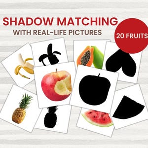 May include: A collection of square cards featuring real-life fruit images and their corresponding black silhouettes. The text "SHADOW MATCHING WITH REAL-LIFE PICTURES" is displayed, along with a red circle stating "20 FRUITS".