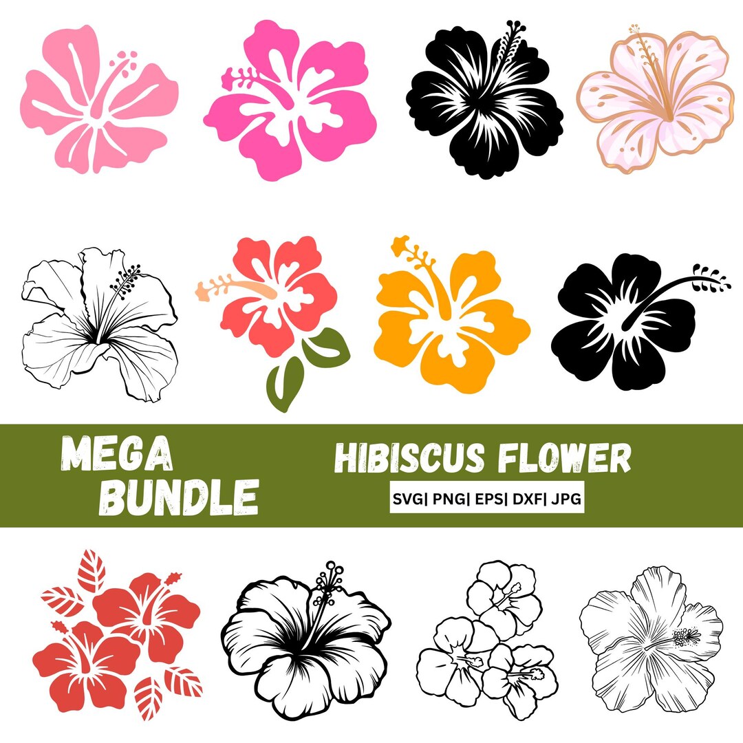 50 Hibiscus Flower SVG Mega Bundle, Tropical Floral Clipart, Summer ...