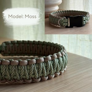 Peut inclure: Un collier pour chien vert et beige, avec une boucle en plastique noir et un anneau en D en m&eacute;tal argent&eacute;. Le collier est fait de mat&eacute;riau tiss&eacute;. Le texte "Model: Moss" est dans un ovale blanc.