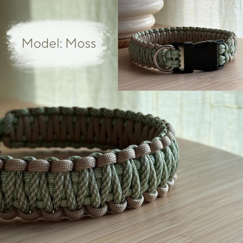 Peut inclure: Un collier pour chien vert et beige, avec une boucle en plastique noir et un anneau en D en m&eacute;tal argent&eacute;. Le collier est fait de mat&eacute;riau tiss&eacute;. Le texte "Model: Moss" est dans un ovale blanc.