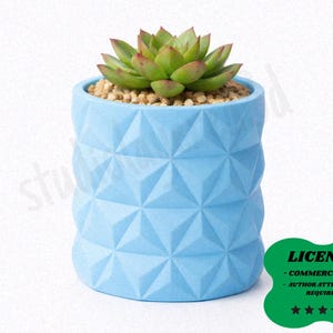 May include: A light blue geometric planter with a succulent plant. The planter has a textured, diamond-like pattern. The succulent has green and red leaves and sits atop small brown pebbles. The image includes a green license badge.
