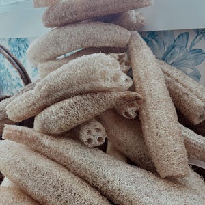 May include: A collection of natural beige loofah sponges. The cylindrical sponges have a fibrous, porous texture and vary in size. Some are stacked, while others are scattered, creating a natural and organic aesthetic. The background includes a glimpse of a floral pattern.