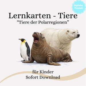 Könnte beinhalten: Digitales Lernprodukt mit Illustrationen von Polartieren: einem Pinguin, einem Walross und einem Eisbären. Der Text lautet "Lernkarten - Tiere" und "Tiere der Polarregionen" mit den Worten "für Kinder" und "Sofort Download".