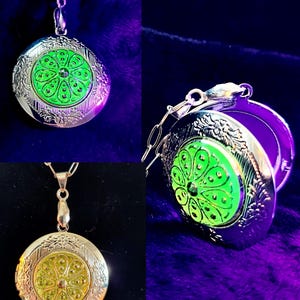 May include: A silver locket necklace with a green and black floral design. The locket is open, revealing a blank interior.