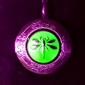 May include: A silver locket necklace with a green dragonfly design on the front. The locket is round and has a detailed floral pattern around the edge.