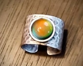 Articolo da questo negozio