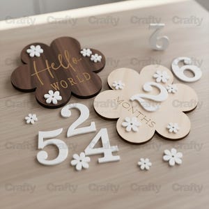 May include: Wooden baby milestone markers in a flower shape with white daisy accents. One marker says "Hello World", the other says "2 Months". Includes white numbers 2, 4, 5, 6, and small daisy accents.