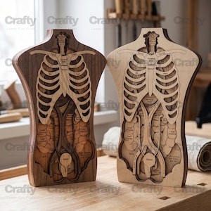 Könnte beinhalten: Zwei anatomische Holzmodelle des menschlichen Torsos, die innere Organe zeigen. Eines ist aus dunklem Holz, das andere aus hellem Holz. Die Modelle sind lasergeschnitten mit detaillierten Beschriftungen, darunter "Herz", "Lunge" und "Blase."