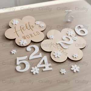 May include: Wooden flower-shaped milestone markers with white daisy accents and numbers. One marker reads "Hello World," and another says "2 Months." Additional numbers 2, 4, 5, and 6 are included, along with small daisy decorations.