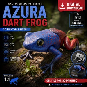 May include: A 3D printable model of an Azura Dart Frog. The frog is blue with red spots and red legs. The image includes the text "Azura Dart Frog" and "STL File for 3D Printing". The model is 1:1 scale and print ready.
