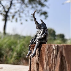 Puede incluir: Una detallada escultura de escarabajo plateado con grandes cuernos en posición sentada. El escarabajo está posado sobre un tocón de madera marrón desgastada, sobre un fondo borroso de hierba verde y cielo azul.