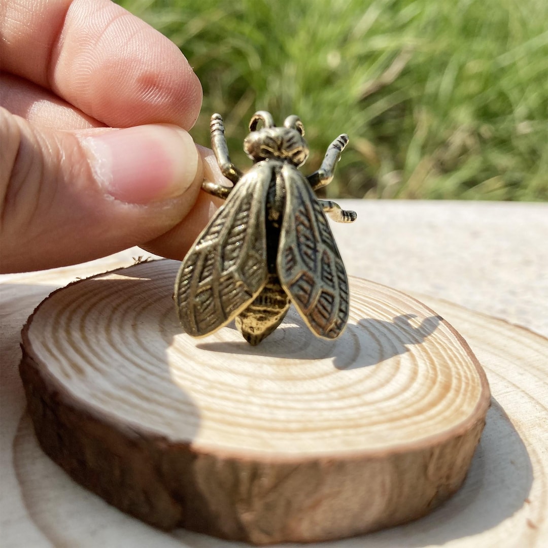 Solid Brass Fly Figurine: Handcrafted Insect Desk Decor, Entomology Art ...