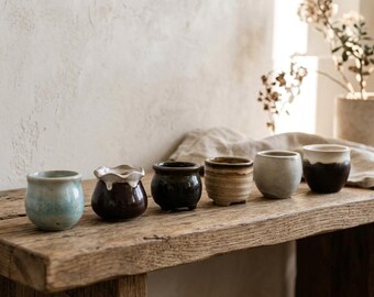 Mini Ceramic Succulent Pots Set of 6
