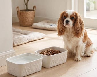 May include: Two rectangular white ceramic pet bowls with a textured exterior surface. One bowl is filled with dry brown kibble, and the other bowl is filled with clear water. A Cavalier King Charles Spaniel sits next to the bowls on a wooden floor.