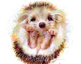 Baby Animals