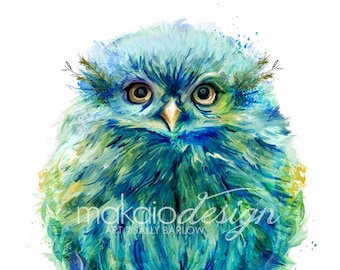 Fiji Owlet