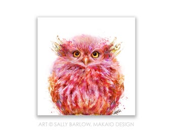 12x12 Square Art Print ~ Baby Owl Coral