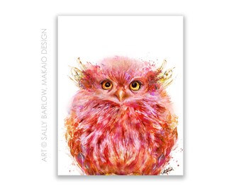 Art Print ~ Coral Owlet