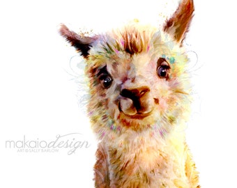 Baby Alpaca Springles
