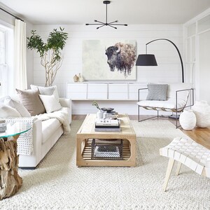 May include: A white living room with a white couch, a white chair, a coffee table, a rug, and a large painting of a buffalo on the wall.