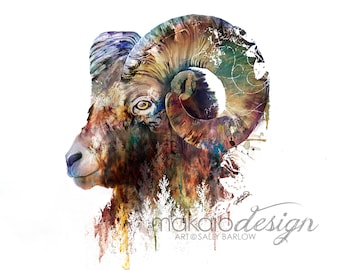 Untamed Terrain Bighorn Sheep