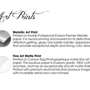 May include: Two different types of art prints are shown. The first is a metallic art print, printed on Kodak Professional Endura Premier Metallic paper. The second is a fine art matte print, printed on Canson Rag Photographique matte fine art paper.
