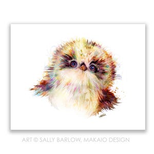May include: A watercolor painting of a fluffy, colorful bird with large, blue eyes. The bird is depicted in a soft, whimsical style, with a light background.