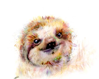 Baby Sloth