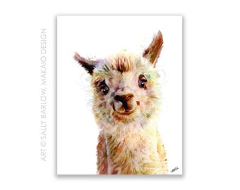Art Print ~ Springles Baby Alpaca